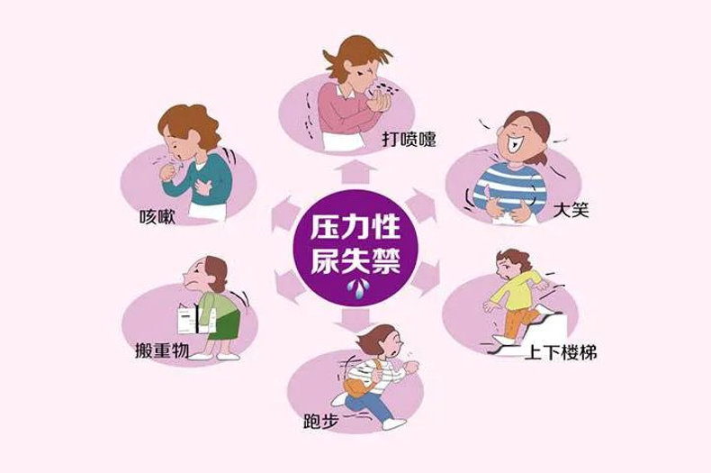 微信图片_20241219144219.png