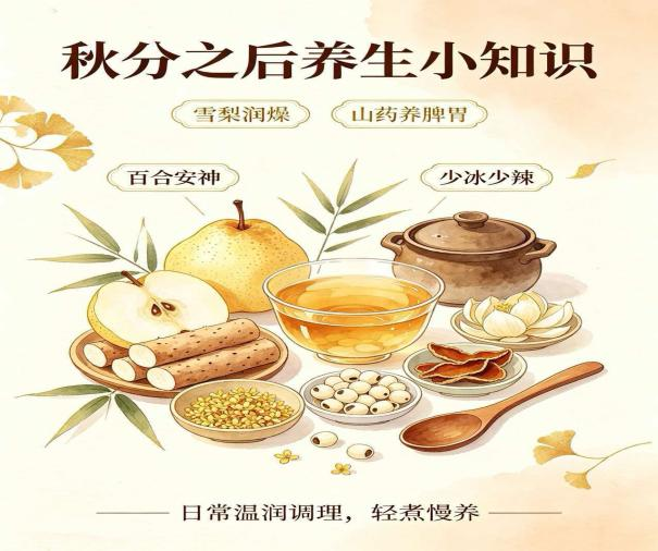 1790148653250.png